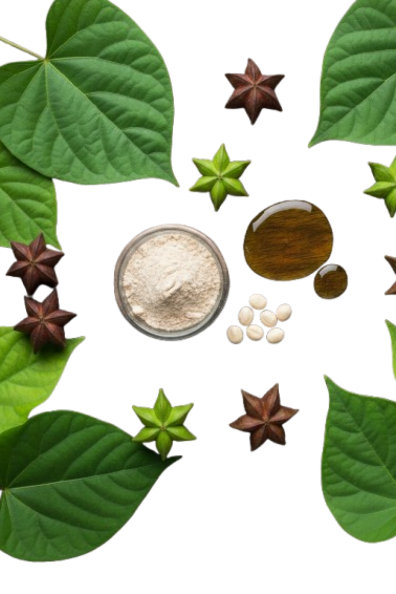 Tarro de proteína de SachaInchi Organica x 250 g - Imagen 3